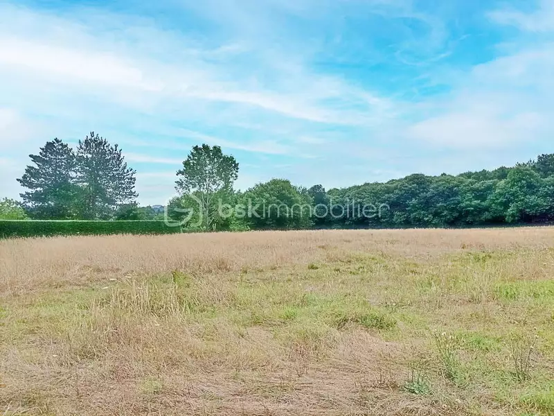 Terrain, 6 614 m²