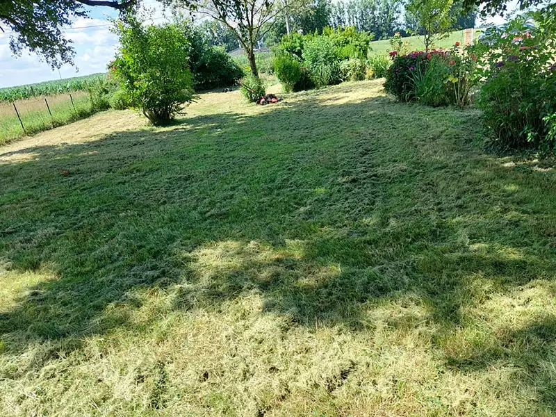 Maison, 80 m²