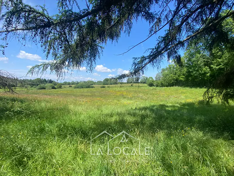 Terrain, 4 224 m²