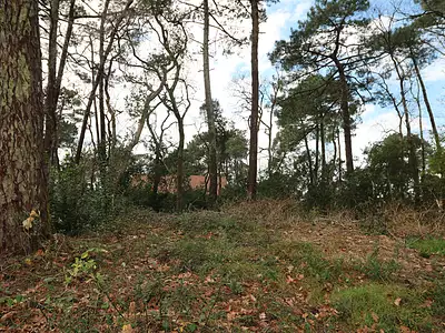 Terrain, 550 m²