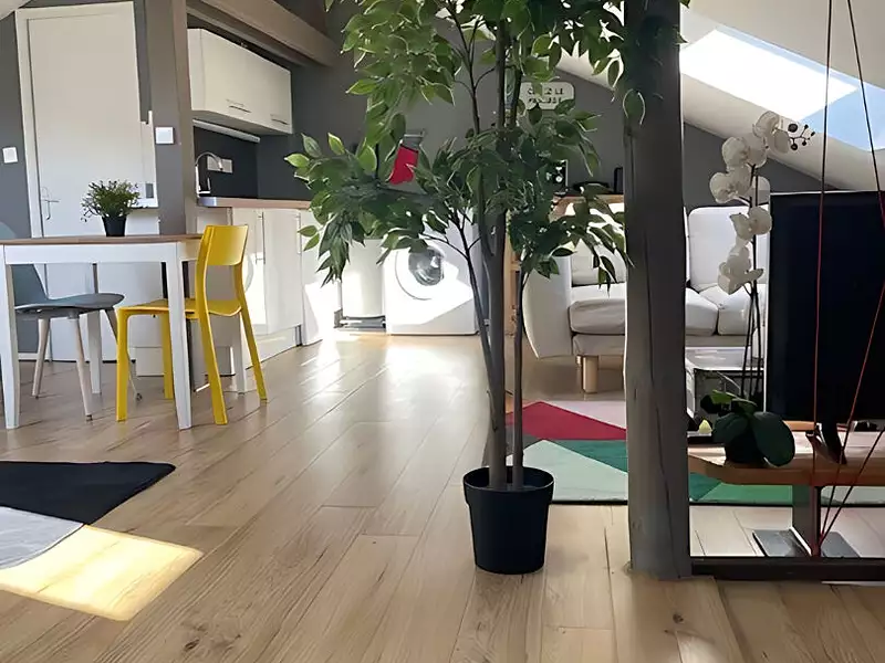 Appartement, 12,53 m²