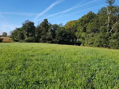 Terrain, 9 880 m²