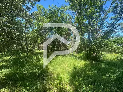 Terrain, 1 354 m²