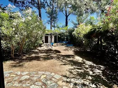 Appartement, 33,25 m²