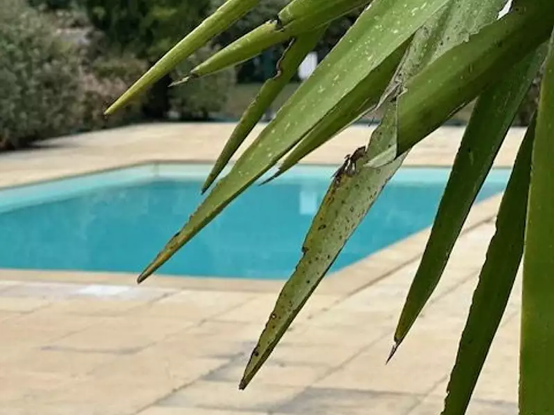 Appartement, 63,29 m²