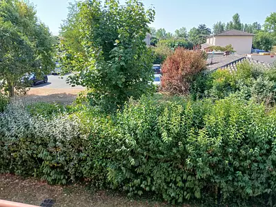 Appartement, 62,01 m²