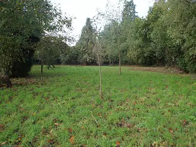 Terrain, 1 000 m²