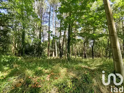Terrain, 5 620 m²