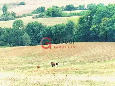 Terrain, 267 883 m²