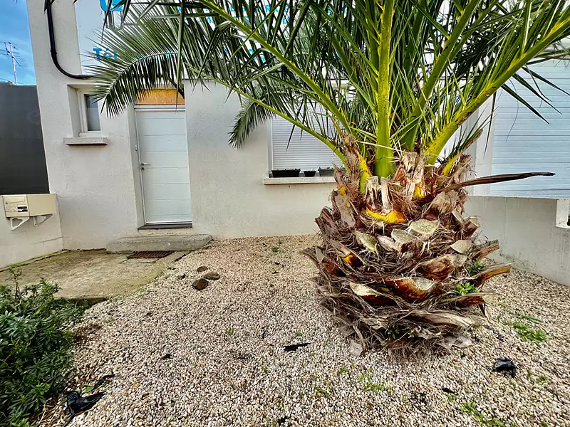 Appartement, 87,46 m²