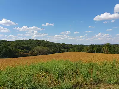 Terrain, 133 116 m²