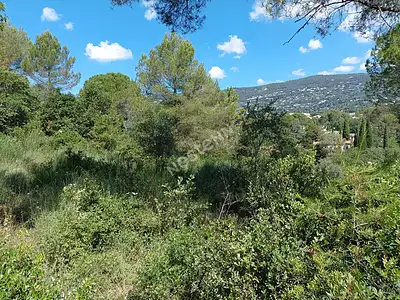 Terrain, 1 323 m²