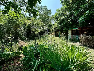 Maison, 84 m²