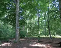 Appartement, 21,62 m²