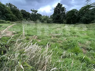 Terrain, 7 546 m²