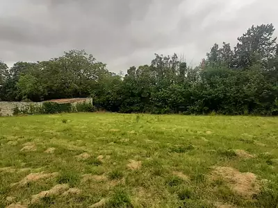 Terrain, 1 135 m²