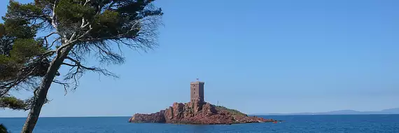 Terracota Immobilier