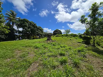 Terrain, 4 525 m²