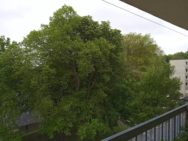 Appartement, 53 m²