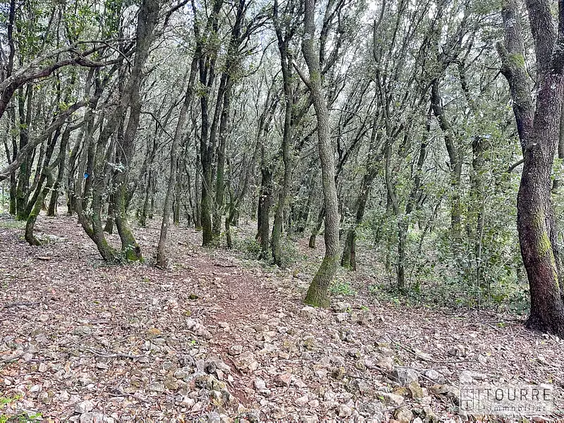 Terrain, 1 330 m²