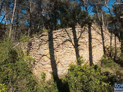 Terrain, 42 302 m²