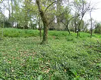 Terrain, 2 130 m²