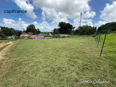 Terrain, 646 m²