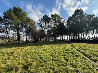 Maison, 160 m²