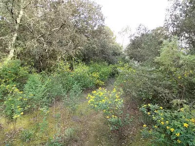 Terrain, 8 914 m²
