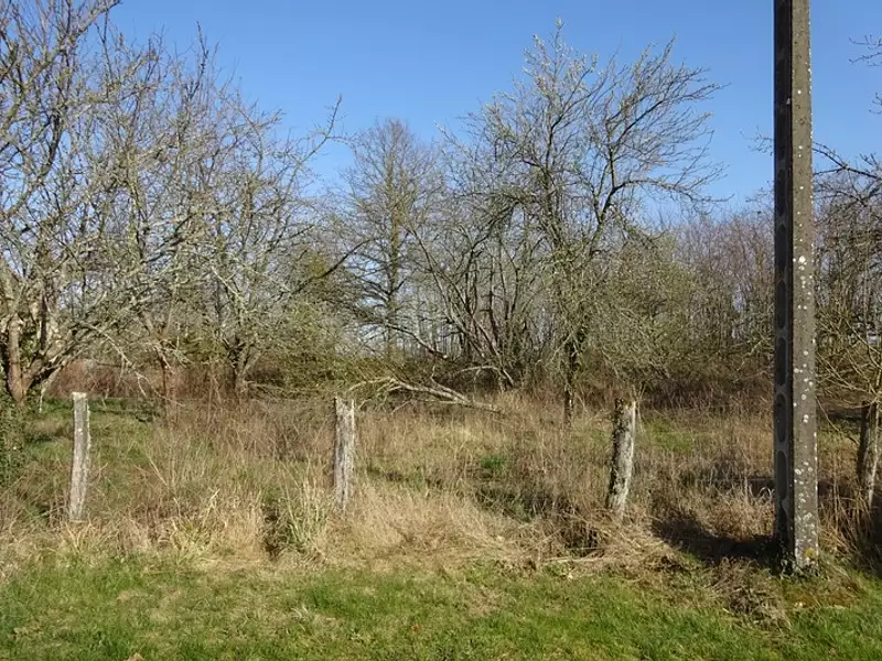 Terrain, 1 341 m²
