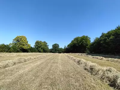 Maison, 260 m²