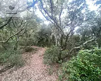 Terrain, 6 091 m²