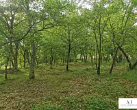 Terrain, 720 m²
