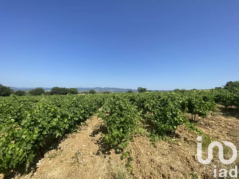 Terrain, 58 175 m²