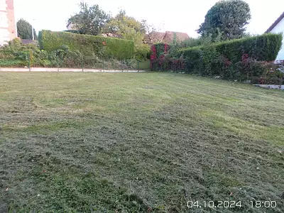 Terrain, 1 000 m²
