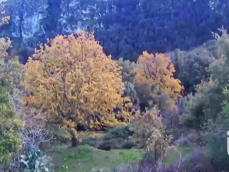 Terrain, 842 m²