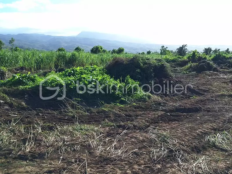 Terrain, 251 m²