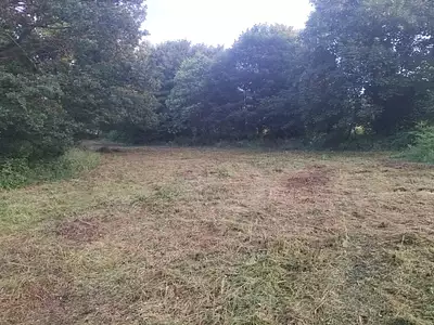 Terrain, 781 m²