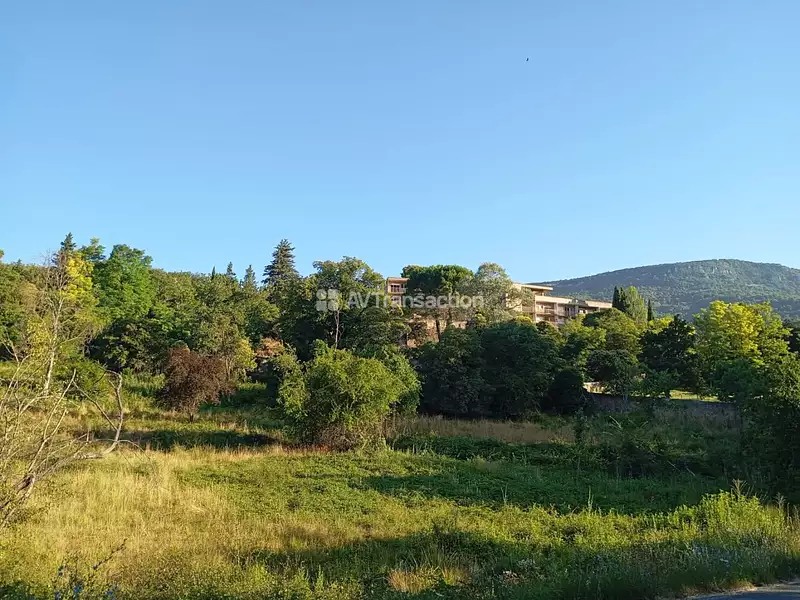 Terrain
