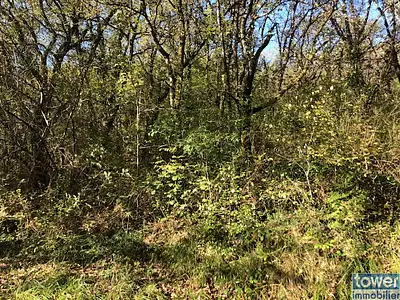 Terrain, 3 110 m²