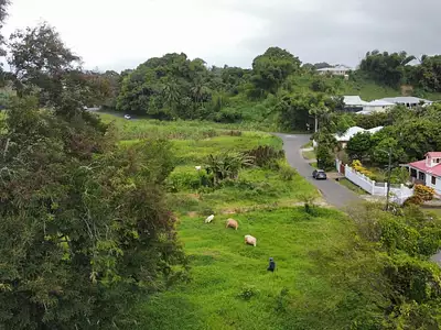 Terrain, 1 000 m²