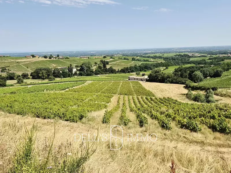 Terrain, 51 850 m²
