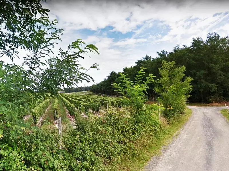 Terrain, 702 m²