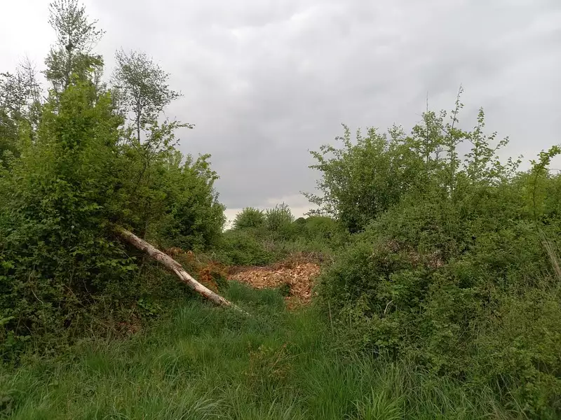 Terrain, 2 924 m²