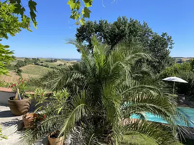 Maison, 253 m²