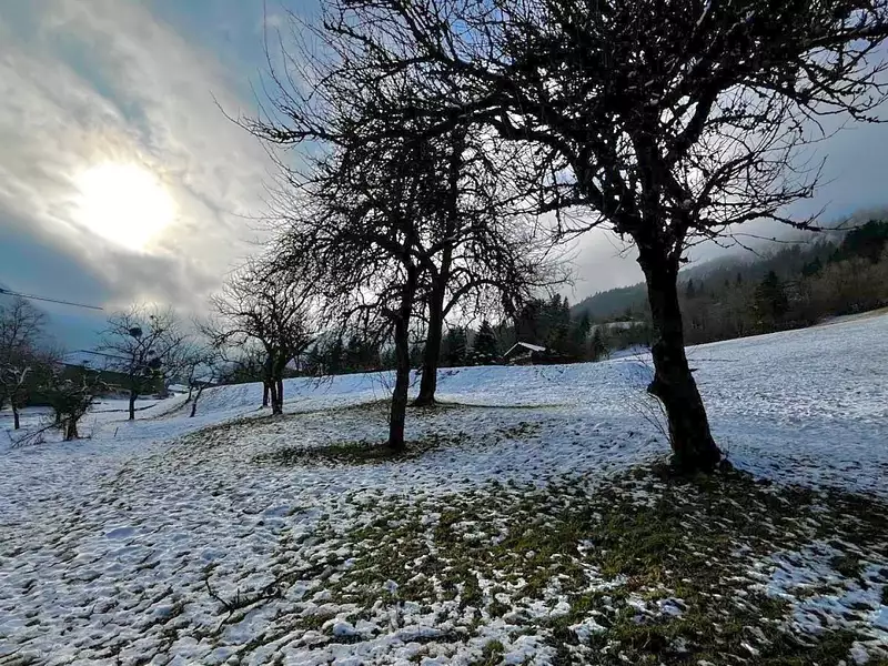 Terrain, 1 164 m²
