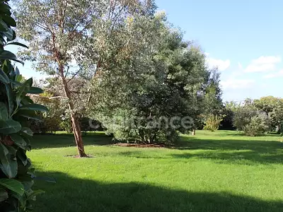 Terrain, 650 m²