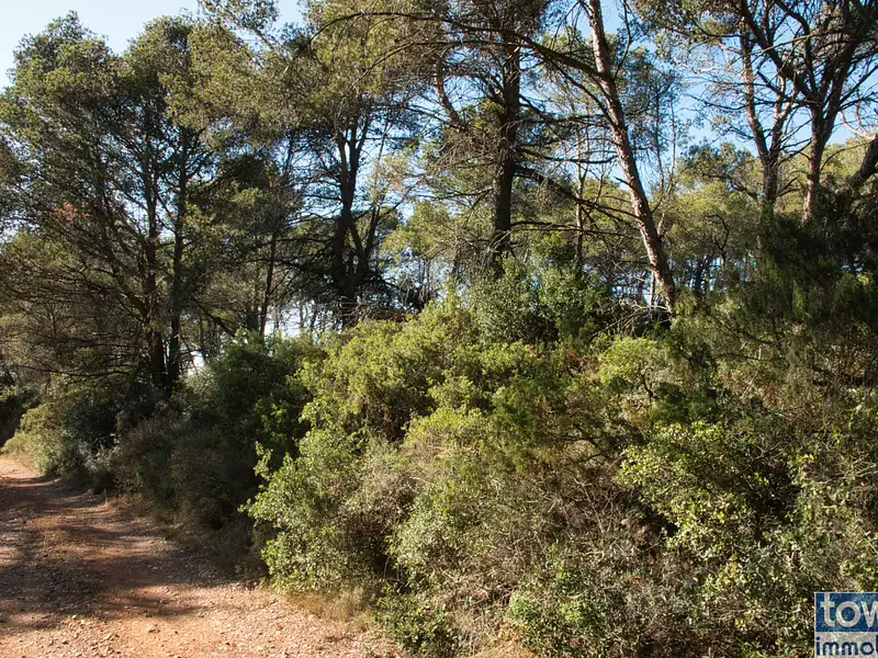 Terrain, 42 302 m²