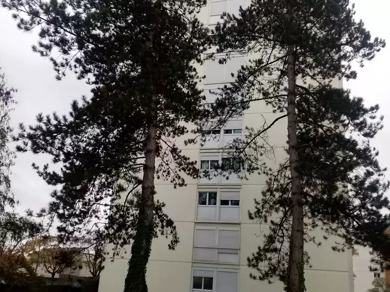 Appartement, 31,91 m²