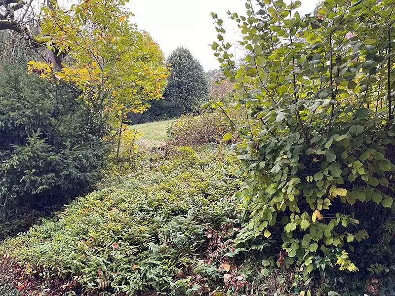 Terrain, 850 m²
